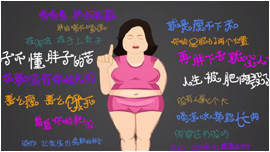 廣州flash動(dòng)畫(huà)公司